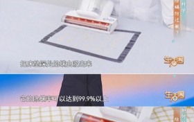 宠物家庭清洁难题有解！友望大白 CM2306 Ultra 成 “猫毛克星”